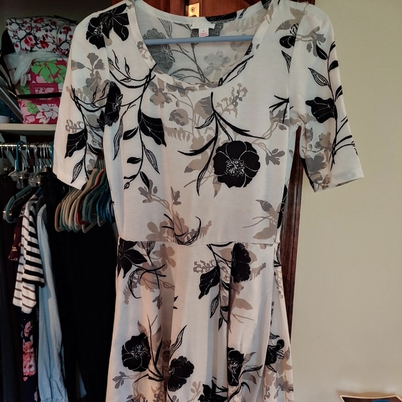 Lularoe Nicole - Picture 1 of 3